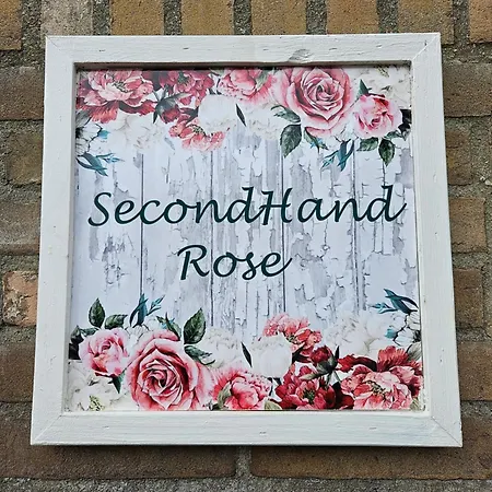 Secondhandrose Op 3 Fietskilometer De Efteling *