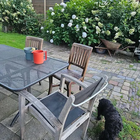 Secondhandrose Sprang