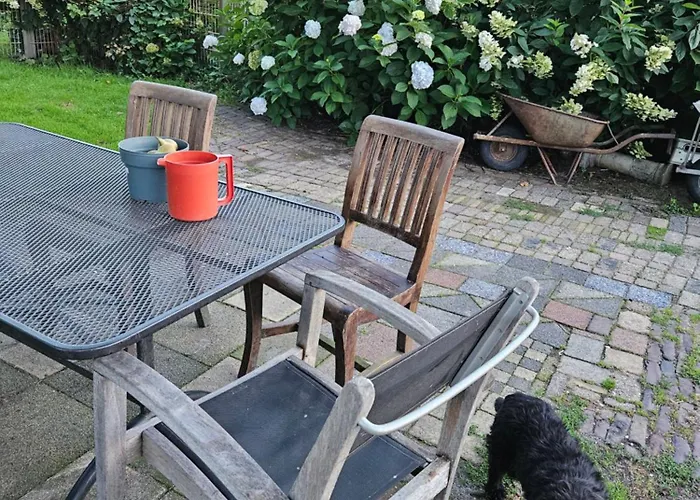 Secondhandrose Sprang