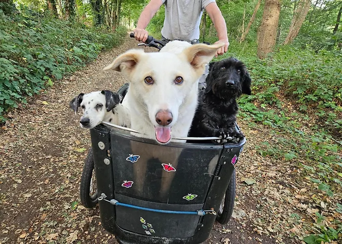 Secondhandrose Διαμέρισμα *