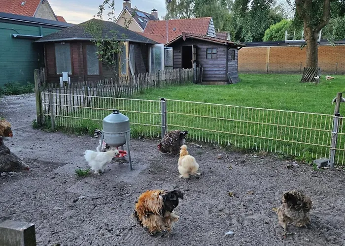 Secondhandrose Sprang